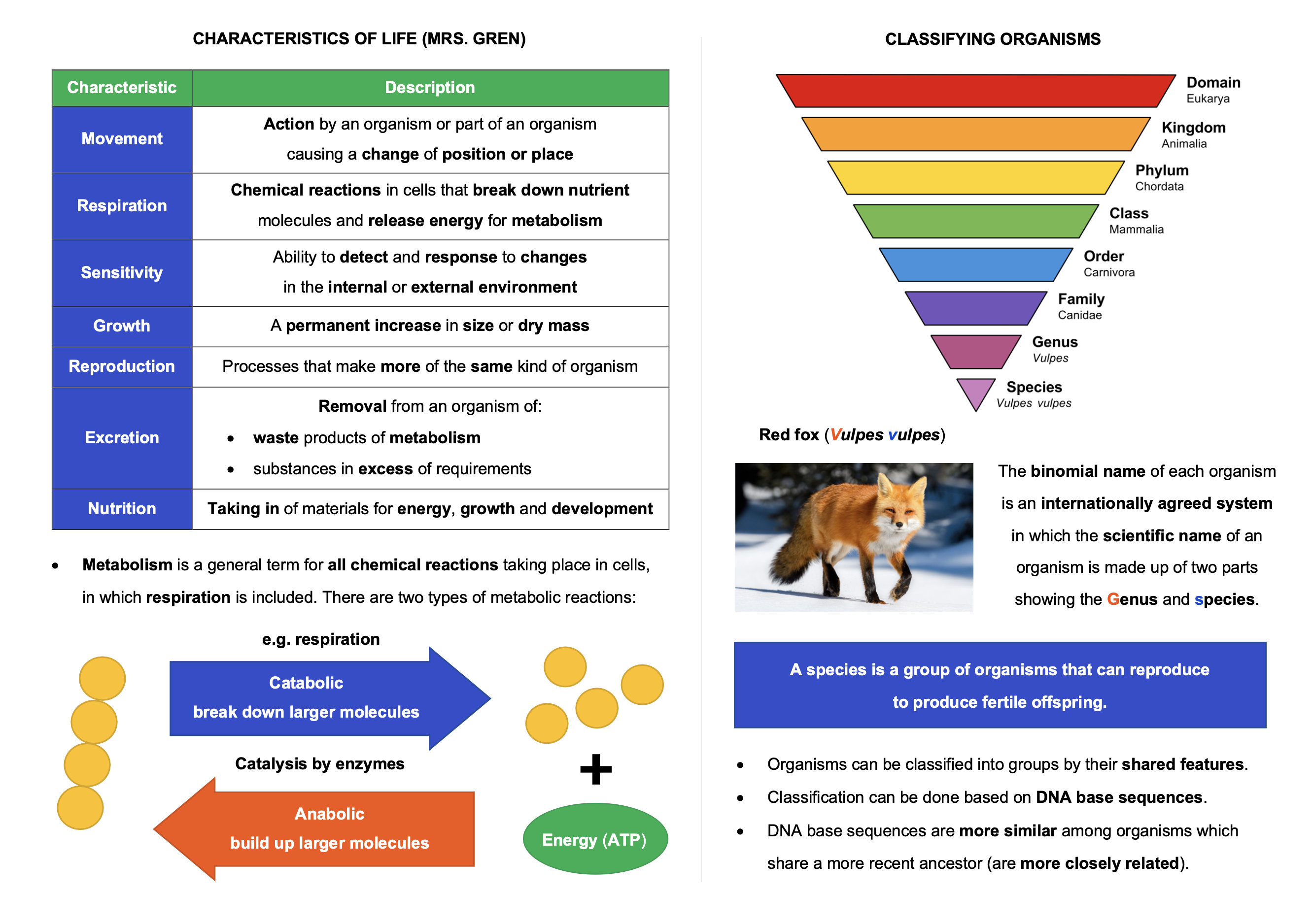 IGCSE Year 9-10 Biology&nbsp;Notes